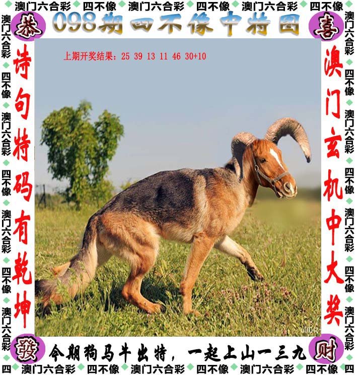 2025新澳正版今晚资料与2025澳门精准正版免费四不像与警惕虚假宣传-全面释义、解释与落实